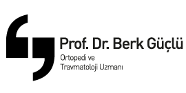 Berk G&uuml;&ccedil;l&uuml;